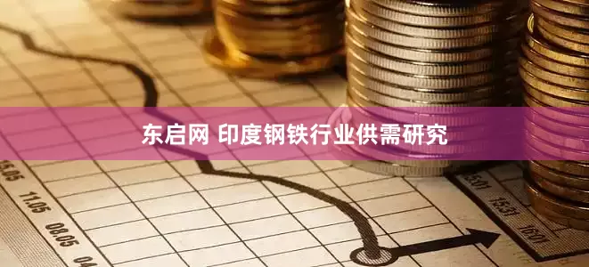 东启网 印度钢铁行业供需研究