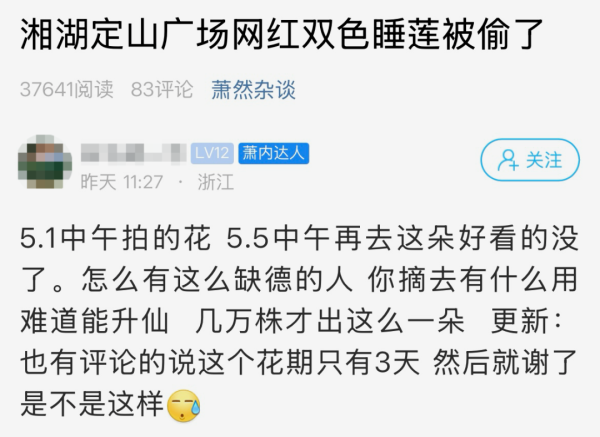 盛宝优配 湘湖网红双色睡莲被偷了？网友：几万株才出这么一朵！