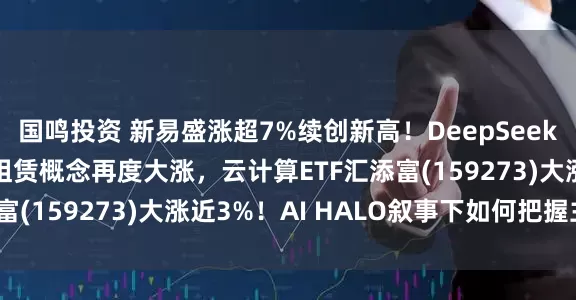国鸣投资 新易盛涨超7%续创新高！DeepSeek V4发布在即！算力租赁概念再度大涨，云计算ETF汇添富(159273)大涨近3%！AI HALO叙事下如何把握主线？