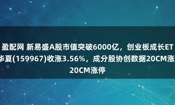 盈配网 新易盛A股市值突破6000亿，创业板成长ETF华夏(159967)收涨3.56%，成分股协创数据20CM涨停